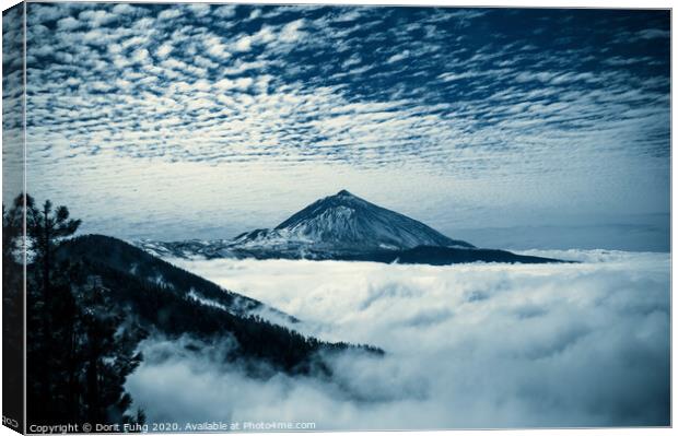 Pico del Teide Canvas Print by Dorit Fuhg
