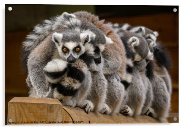 Lemurs Acrylic by Alan Kirkby