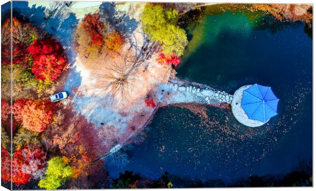 autumn season aerial view Canvas Print by Ambir Tolang