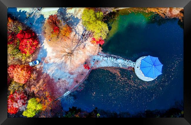autumn season aerial view Framed Print by Ambir Tolang