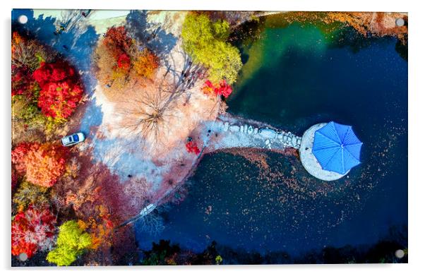 autumn season aerial view Acrylic by Ambir Tolang