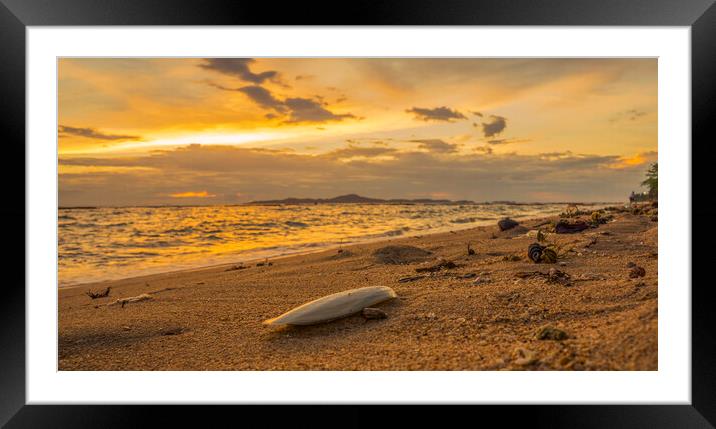Calmness and the cuttle Framed Mounted Print by scott innes