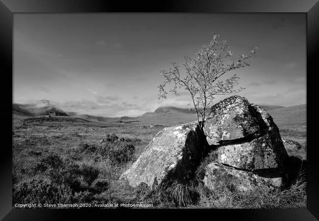 Lonely Tree at Glencoe Framed Print by Steve Thomson