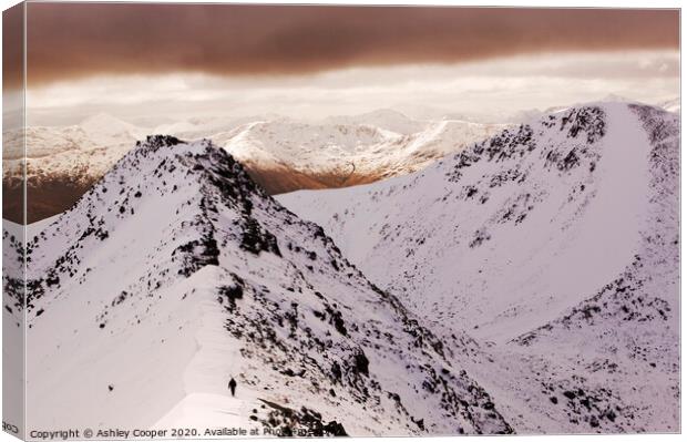 Mamores in Winter. Canvas Print by Ashley Cooper