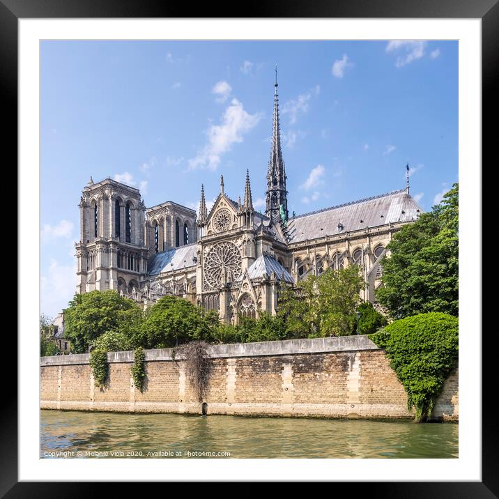 PARIS Cathedral Notre-Dame  Framed Mounted Print by Melanie Viola