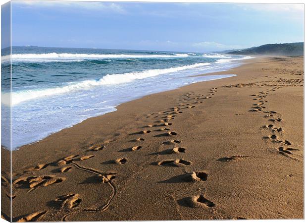 footsteps on a Durban beach Canvas Print by Jay Rajdev