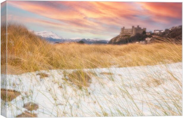 Harlech castle Canvas Print by Rory Trappe