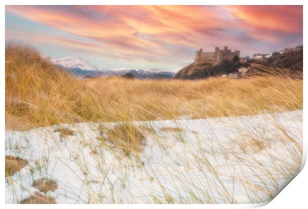Harlech castle Print by Rory Trappe