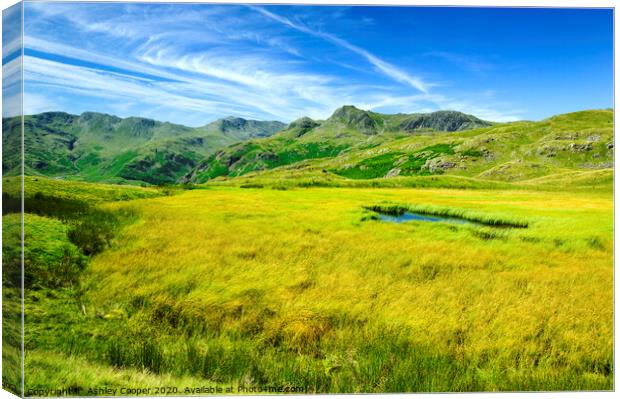 Langdale Pikes Canvas Print by Ashley Cooper