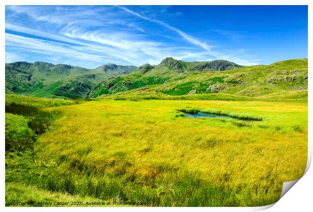 Langdale Pikes Print by Ashley Cooper