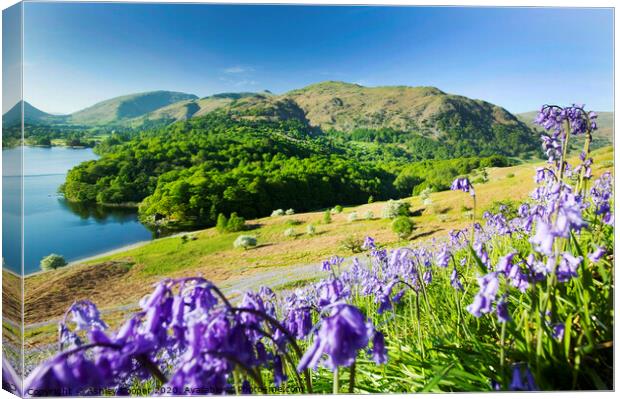 Grasmere Spring. Canvas Print by Ashley Cooper