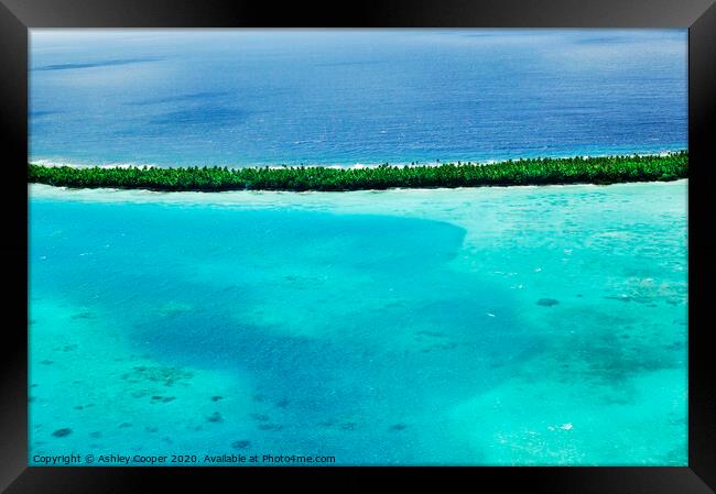 Tuvalu reef.  Framed Print by Ashley Cooper