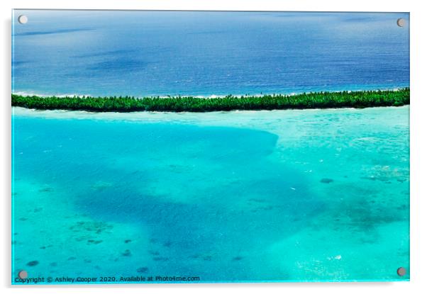 Tuvalu reef.  Acrylic by Ashley Cooper