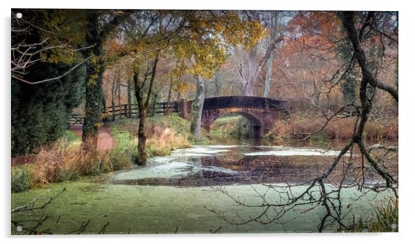 Brewhurst Lane Bridge Acrylic by Mark Jones