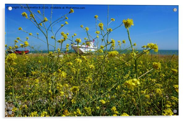 Wild rapeseed by the seashore @Hythe  Acrylic by Antoinette B