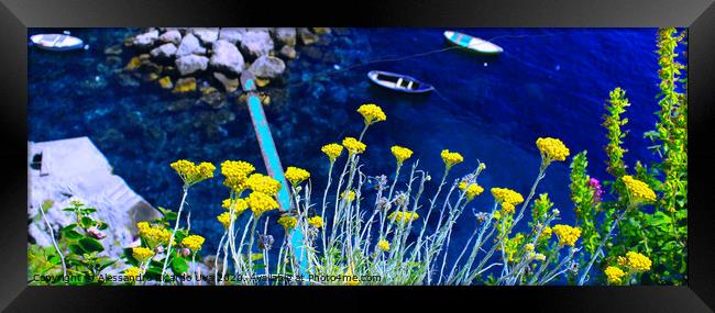 Yellow flowers and the blue ocean - Amalfi Coast Framed Print by Alessandro Ricardo Uva