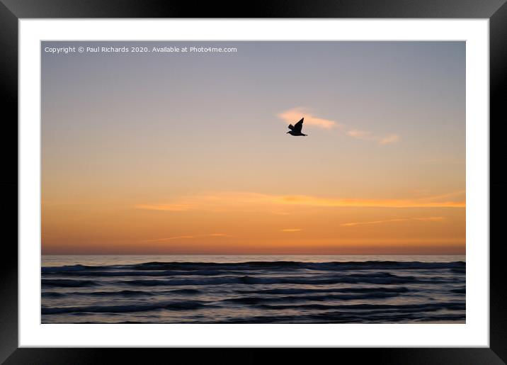 Bird and sunset Framed Mounted Print by Paul Richards