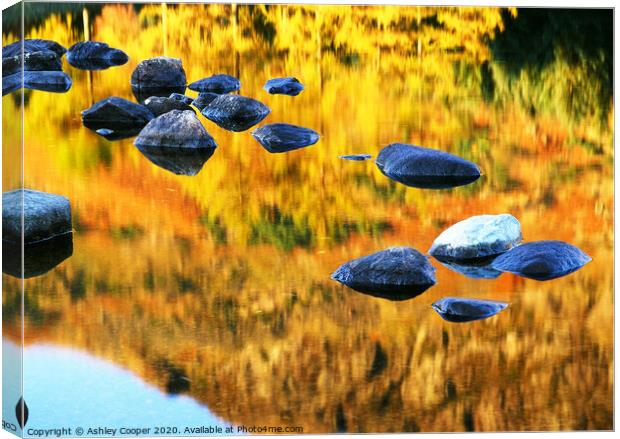 Reflected glory. Canvas Print by Ashley Cooper