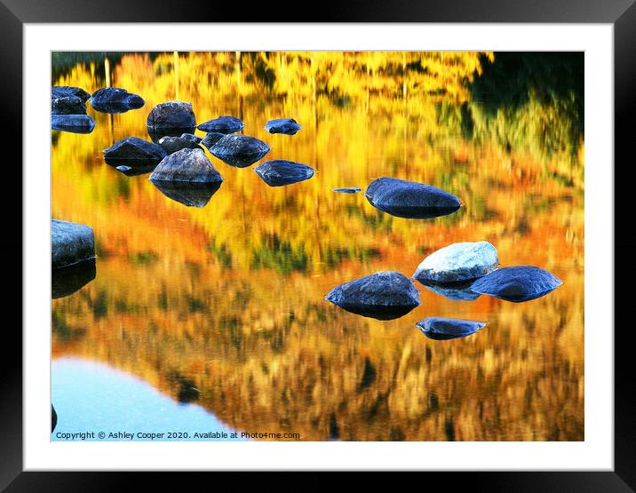 Reflected glory. Framed Mounted Print by Ashley Cooper