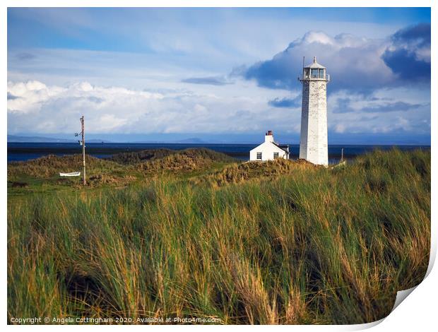 South Walney Nature Reserve Print by Angela Cottingham