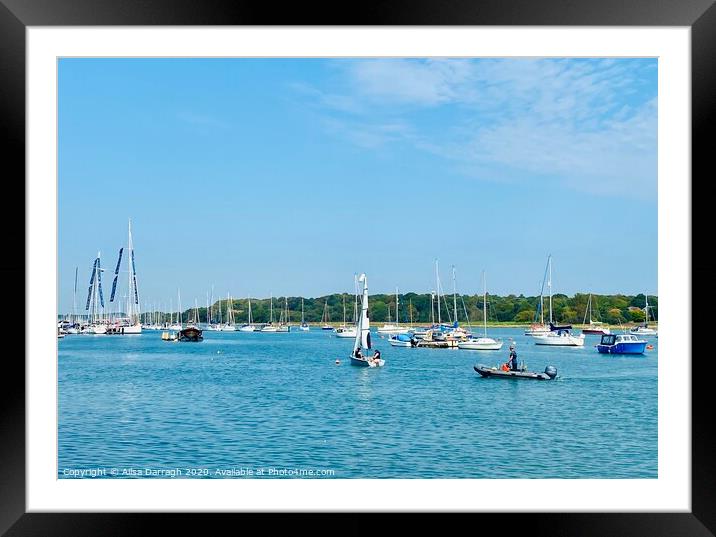 Hamble Harbour, Hampshire  Framed Mounted Print by Ailsa Darragh