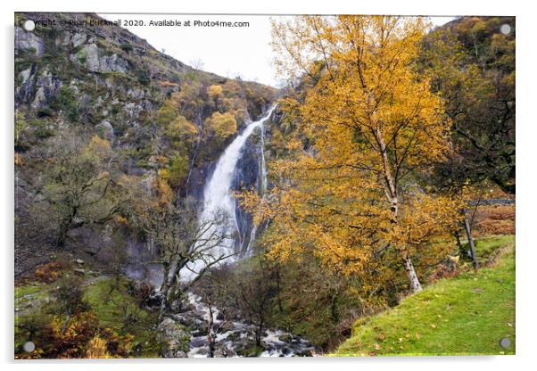 Autumn at Aber Falls Waterfall Snowdonia Acrylic by Pearl Bucknall