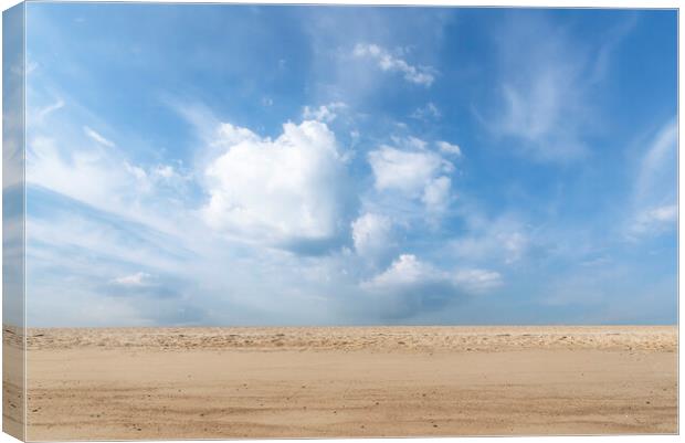 Sunny summer beach on Sylt island Canvas Print by Daniela Simona Temneanu