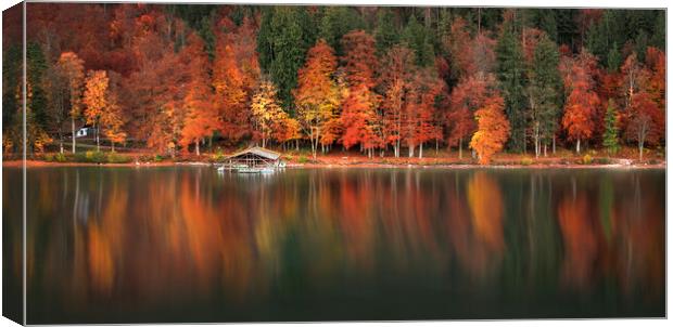 Autumn forest and water reflection on Lake Alpsee, Bavavaria, Germany Canvas Print by Daniela Simona Temneanu