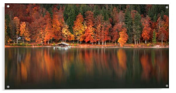 Autumn forest and water reflection on Lake Alpsee, Bavavaria, Germany Acrylic by Daniela Simona Temneanu