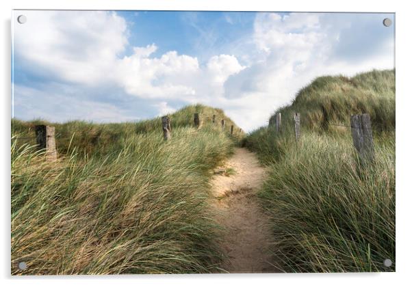 Alley through tall grass on a sandy dune on Sylt island Acrylic by Daniela Simona Temneanu