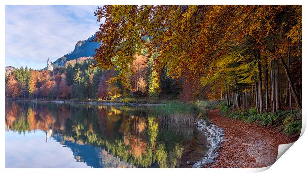 Autumn landscape in bavarian alps. Bavarian forest on the lakeshore near the town Fussen Print by Daniela Simona Temneanu