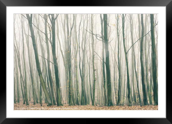 Fog in the Forest Framed Mounted Print by Dorit Fuhg