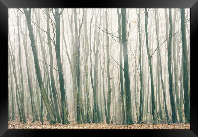 Fog in the Forest Framed Print by Dorit Fuhg