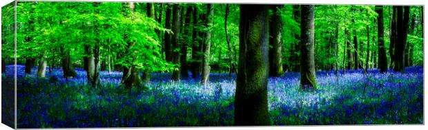 Bluebell Canvas Print by Maggie McCall