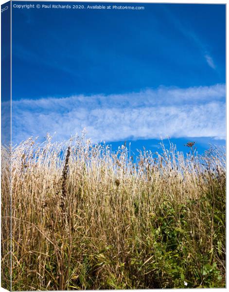 Outdoor field Canvas Print by Paul Richards