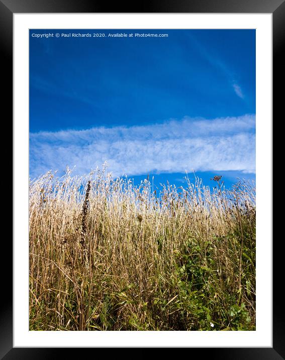 Outdoor field Framed Mounted Print by Paul Richards