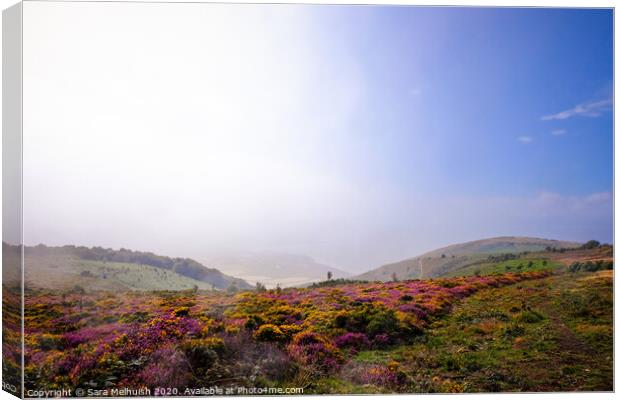 The fog is clearing over Exmoor Canvas Print by Sara Melhuish