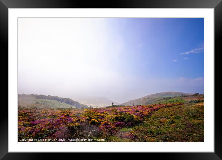 The fog is clearing over Exmoor Framed Mounted Print by Sara Melhuish