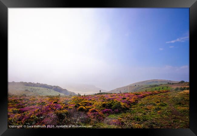 The fog is clearing over Exmoor Framed Print by Sara Melhuish
