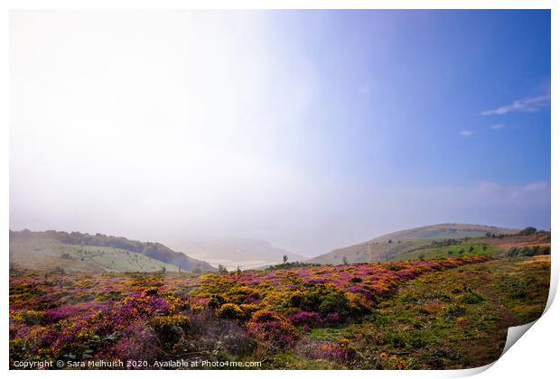 The fog is clearing over Exmoor Print by Sara Melhuish