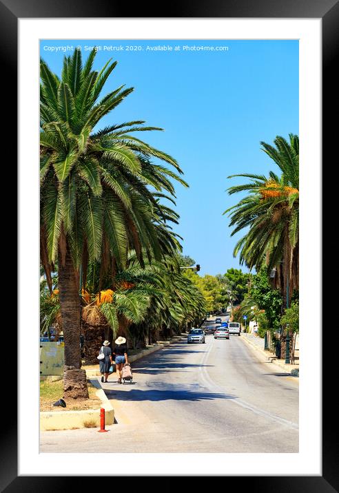 Along the road, an alley of date palm trees grows, cars go along the road, females walk, violating traffic rules, a vertical image. Framed Mounted Print by Sergii Petruk