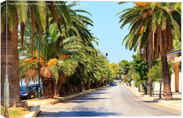 Avenue of date palms along a road on the coast of the Gulf of Corinth in Greece. Canvas Print by Sergii Petruk