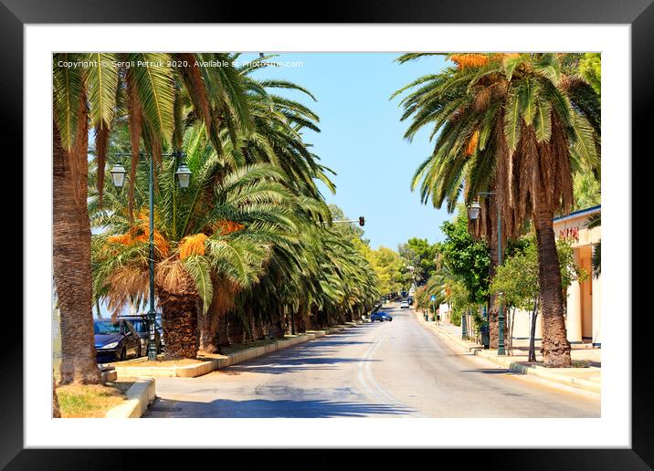 Avenue of date palms along a road on the coast of the Gulf of Corinth in Greece. Framed Mounted Print by Sergii Petruk