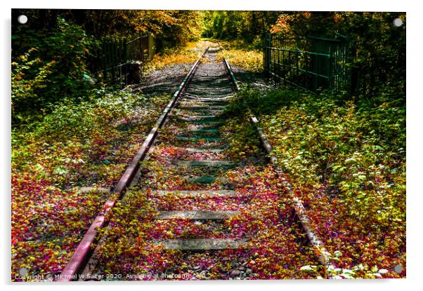Abandoned Railway Line  Acrylic by Michael W Salter