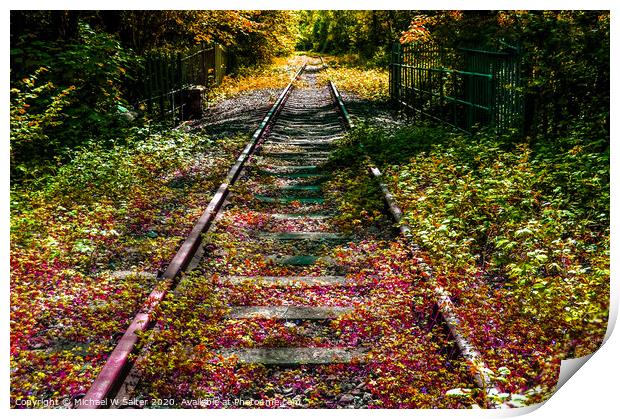 Abandoned Railway Line  Print by Michael W Salter
