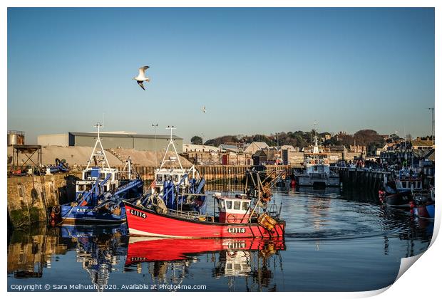 Fishing boat arriving back in the dock Print by Sara Melhuish