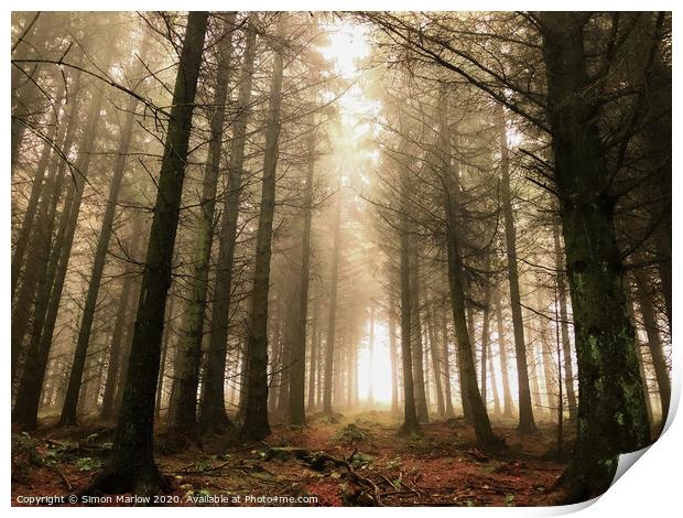 Cold forest morning at Bury Ditches Print by Simon Marlow