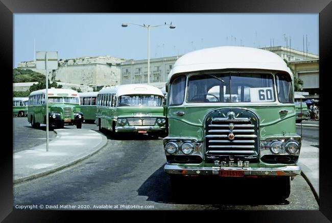 Classic buses at Valetta bus station, Malta Framed Print by David Mather
