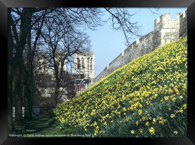 York Minster and City Wall Framed Print by David Mather