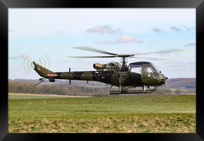 British Army Westland Scout Framed Print by Oxon Images